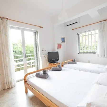 Olive Elaionas Eleonas