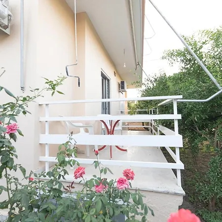 Olive Elaionas 伊勒奥那斯