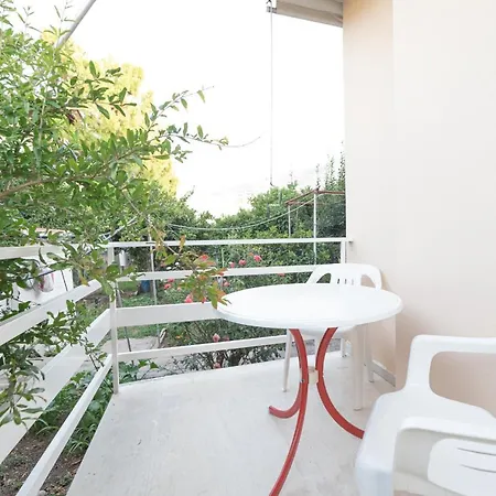 Olive Elaionas * 伊勒奥那斯