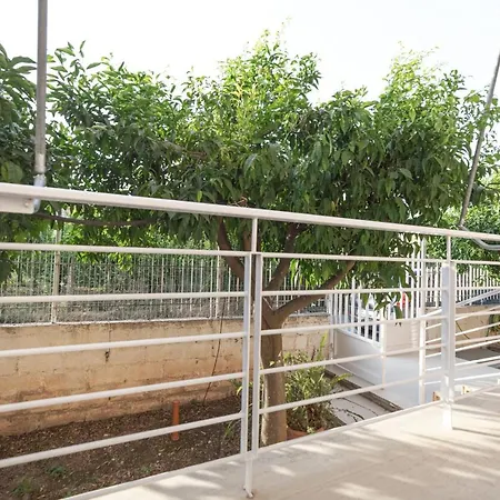 公寓 Olive Elaionas *